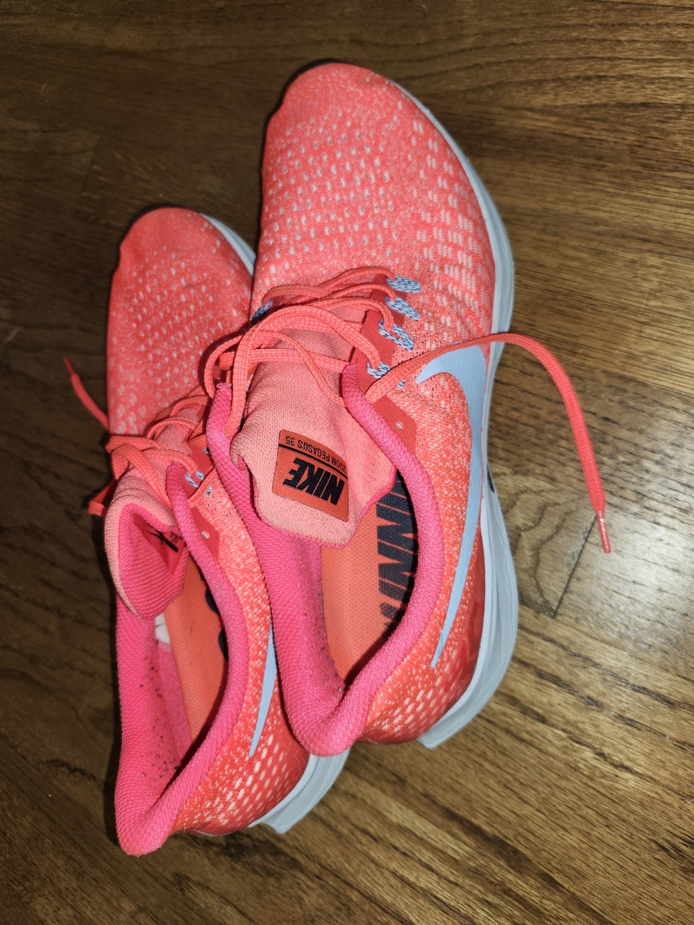 Nike Pegasus 35 Shoes